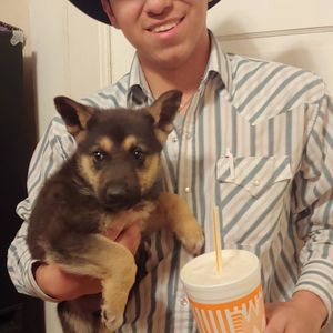 Meet your Posher, Fred